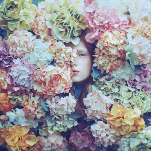 Oleg Oprisco | PICDIT #photos #photo #color #photography #flowers