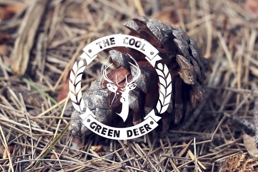 The Cool Green Deer - Videoclip - Carlosbull | Diseño Gráfico y fotografía @ Logroño, Spain :: Carlos de Toro Hernando #deer #design #graphic #bokeh #wood #video #photography #videoclip #logo #forest #cool