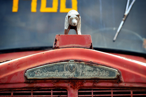 Chromeography photos of emblems, badges, logos on cars & other objects #bear