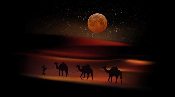 Dreamlike Animals Photography by Nasser Osman