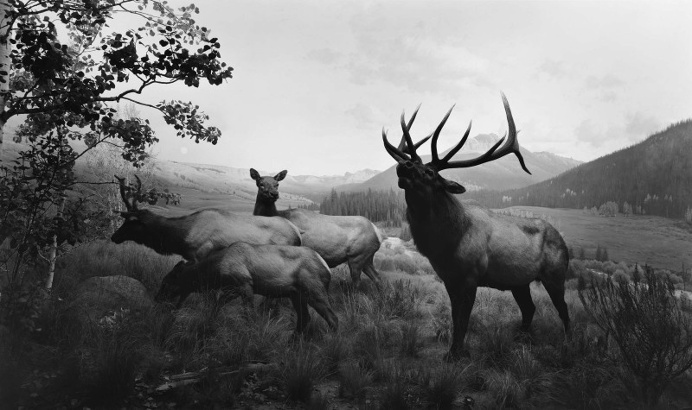 Black and White Photography by Hiroshi Sugimoto