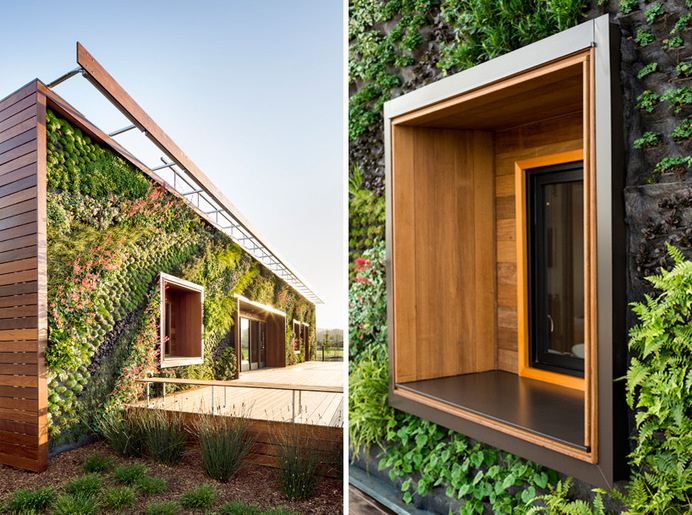 bcv architects bay meadows visitor center designboom #wall #planted