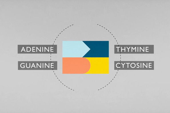 Bbcdna #info #graphic
