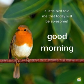 16 Good Morning Images to Make You Smile - Good Morning