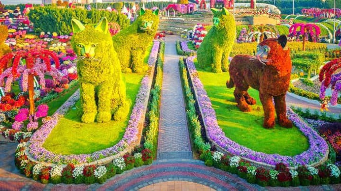 Quadruplet Cats topiary art at the Dubai Miracle Garden. These cats grew alternanthera shrubs all over them. There were in total four cats and this is the key reason that these cats are termed as quadruplet cats. Later in Season 8, the cats were relocated at different areas of the garden.
