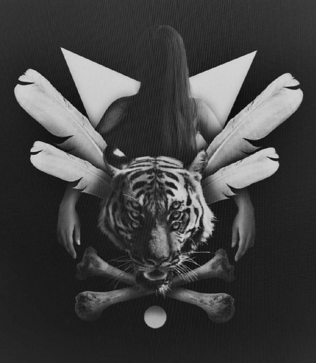 111182.jpg (831×952) #tiger #bones #girl