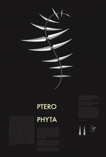 plants : aida novoa : Portfolios : Domestika #plants #patten #editorial #black