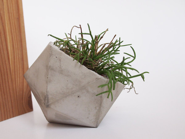 concreteplanter // FrauKlarer #frauklarer #concrete #geometric #concreteplanter