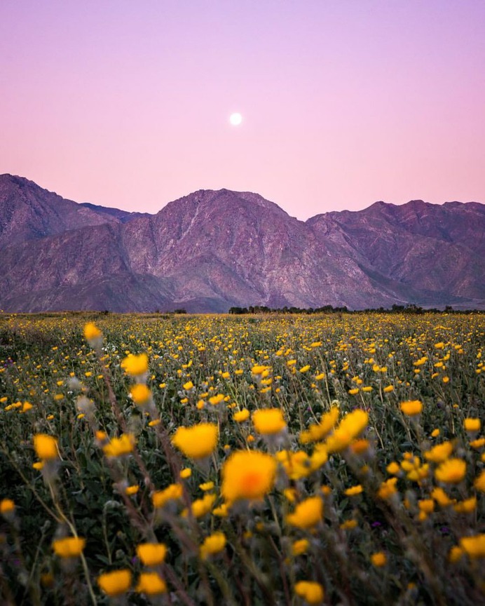 Wonderful Outdoor and Landscape Photography by Callum Snape