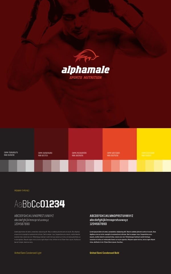 ALPHAMALE on Branding Served #color #identity #guide