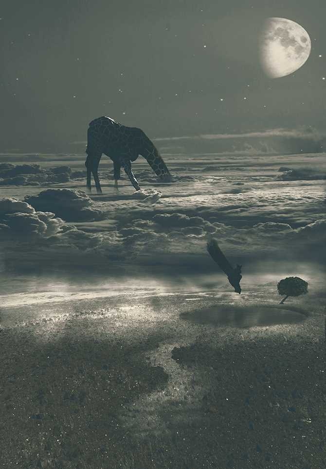 The Surreal Project by Vineet Radhakrishnan #inspiration #surreal #photography