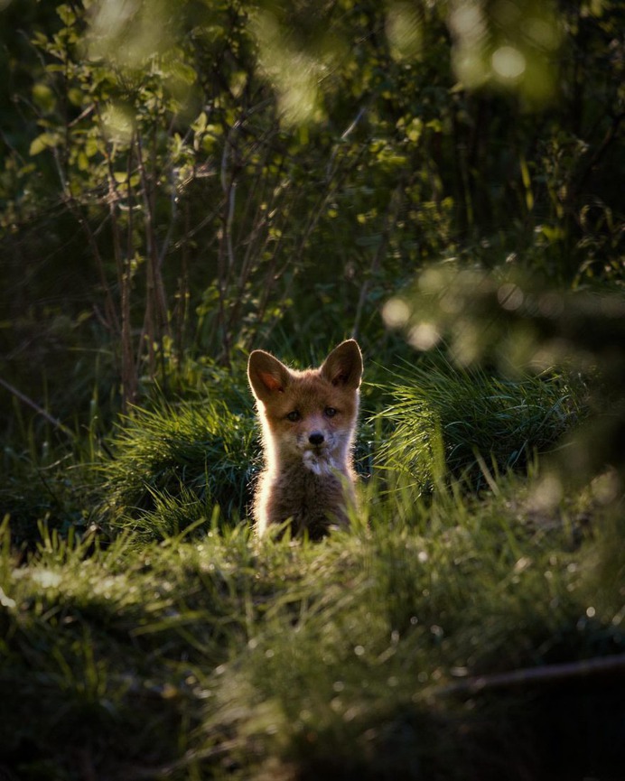 Alluring Nature and Outdoor Landscapes by Linus Englund