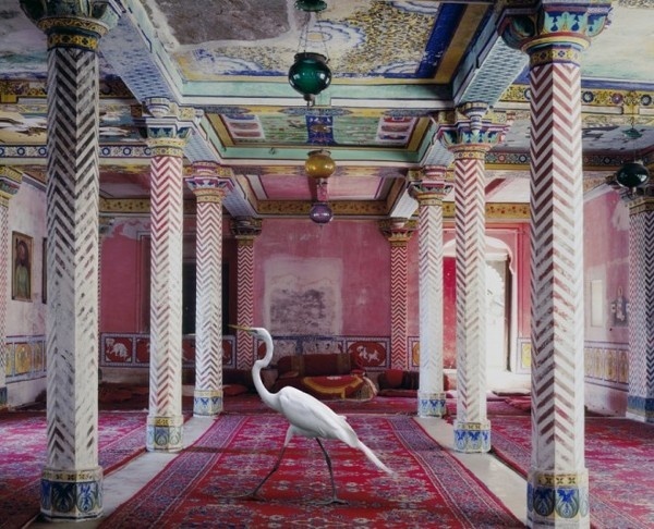 Karen Knorr #inspiration #photography #art