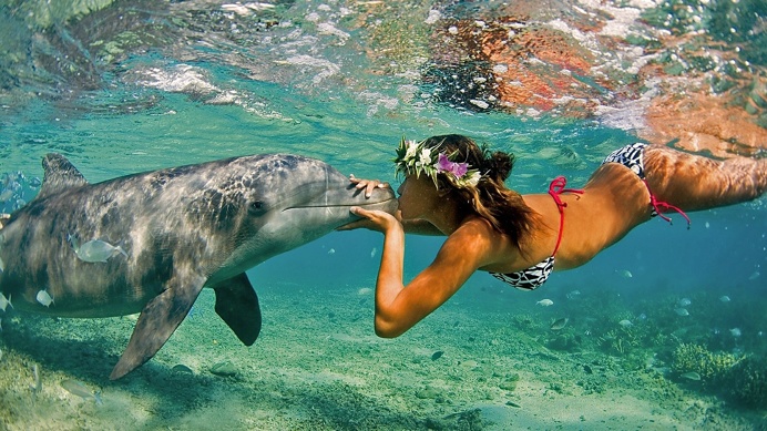 Underwater Love