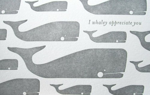 Sara Lindholm #whale