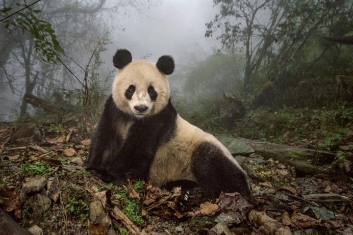 National Geographic Unveils Its 50 Most Beautiful Travel Photos Of 2016's