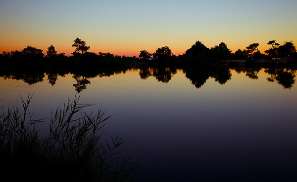we swim here #france #bordeaux #silhouette #swim #sunset