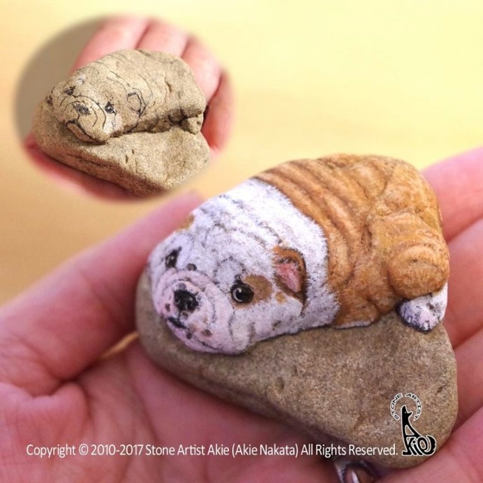 Realistic and Detailed Animal Paintings on Stones by Akie Nakata