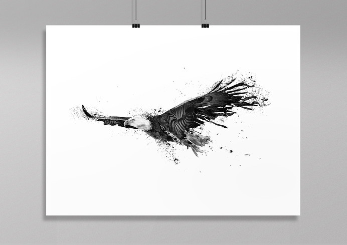 Selvagens by alcalay. art director / designer #print #eagle #illustration #animal #manipulation #art #bw