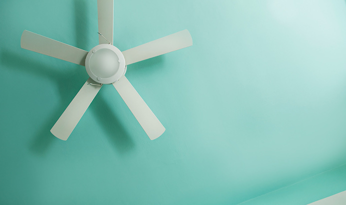 #fan #turquoise #aqua green #blue #tropical