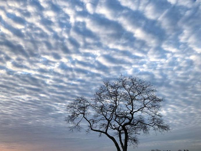Beautiful Nature Photography by National Geographic Photographer Michael Melford