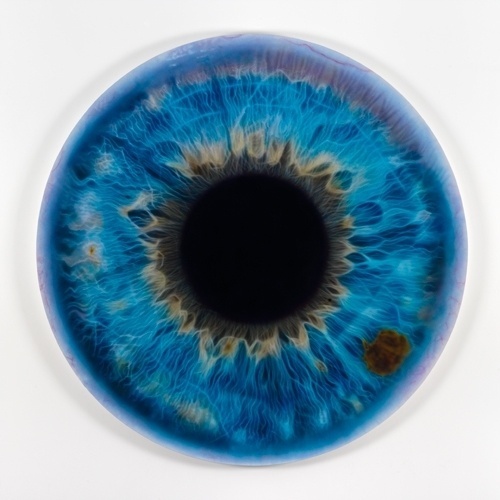 Iris,Blue,Painting,Detailed | A Creative Universe #pupilla
