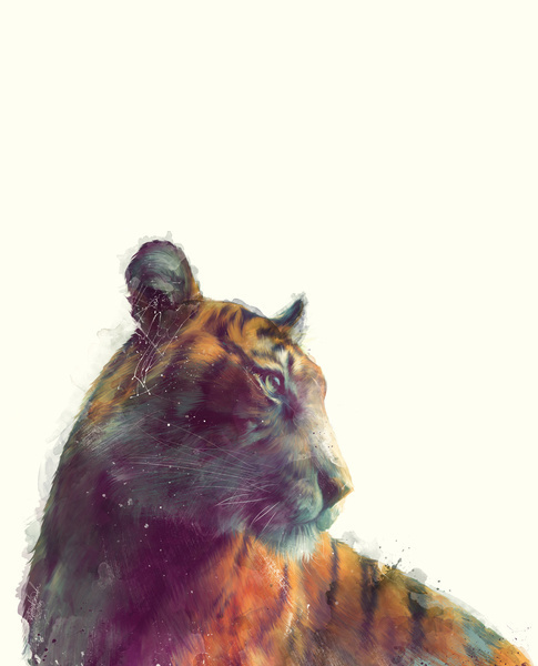 Tiger // Solace Art Print #illustration #society #6