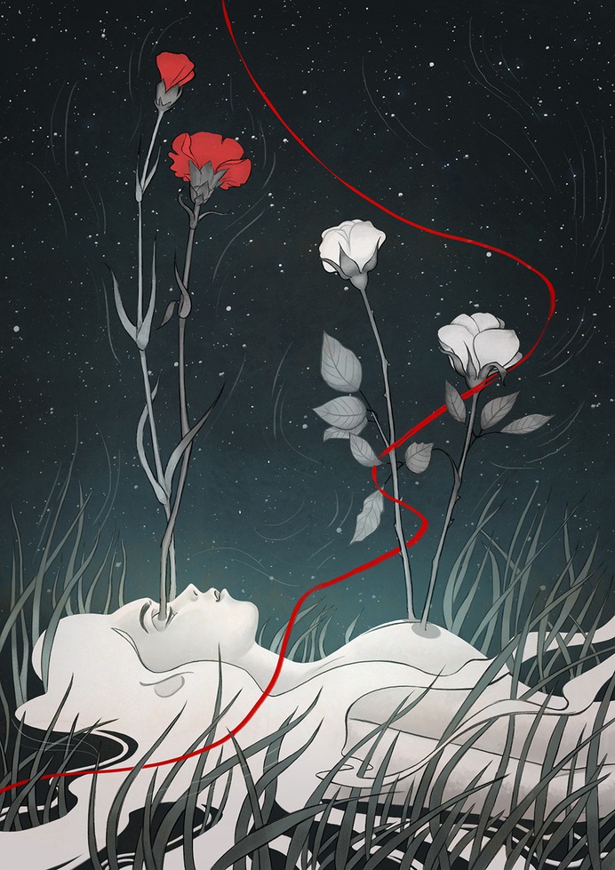 Carnations by powderbrush