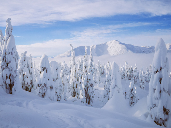 heaven. #canada #snow #landscape #nature #photography #mountains #winter