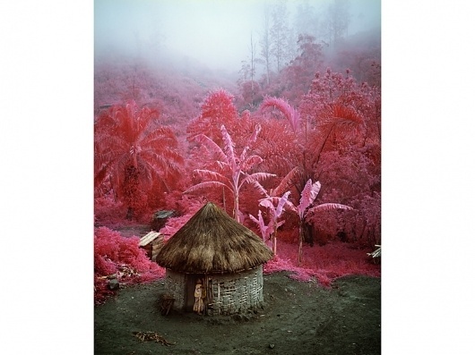 Richard Mosse | Photography #mosse #photography #richard