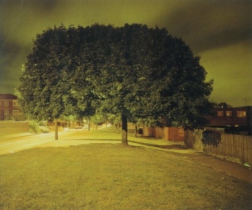 Google Image Result for http://www.nyu.edu/greyart/exhibits/damagedromanticism/imagesweb/pictures/abillingham.jpg #photography #richard #billingham