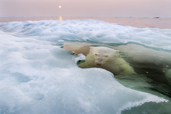 2013 National Geographic Photography #inspiration #photography #nature