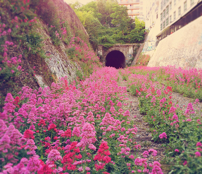 nature-reclaiming-abandoned-places-16 #abandoned #photography
