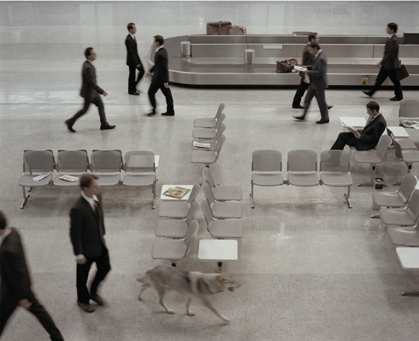 8) Rufus isn't sure what Rufus is. But feel free to ask. The... but does it float #photography #architecture #interiors