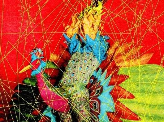 annoyingly vulgar? amourously fatal? by AVAF - contemporary - artwork - new york - Artspace Marketplace #red #pink #print #yellow #photograph #contemporary #bird #blue #green