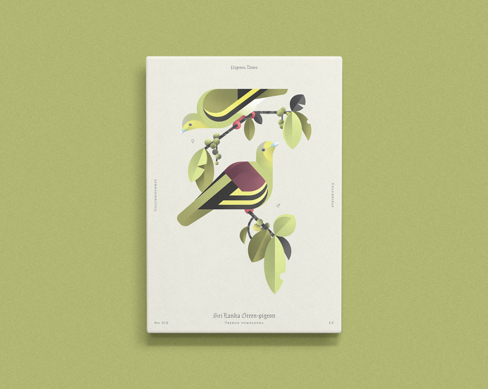 Beauty of birds on Behance