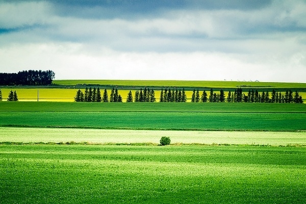 Landscape Photography by Jesse Yardley | Professional Photography Blog #inspiration #photography #landscape
