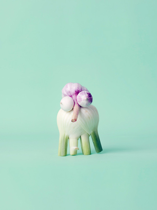 Mr Shy by Carl Kleiner #background #colour