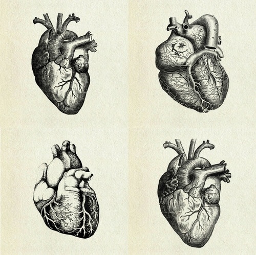coqueterías - (via loveyourchaos) #heart #illustration
