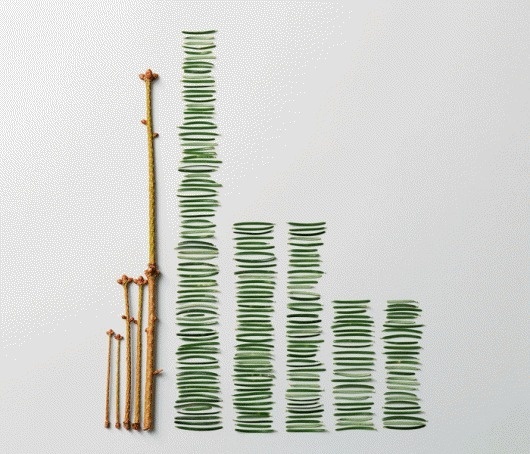 The Art of Clean Up: Sorting and Stacking Everyday Objects | Jeannie Huang #clean #grid #up #stack