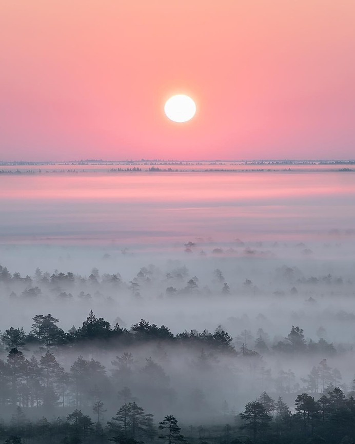 Photographer Arbo Rae Captures The Beauty of Estonia in Winter