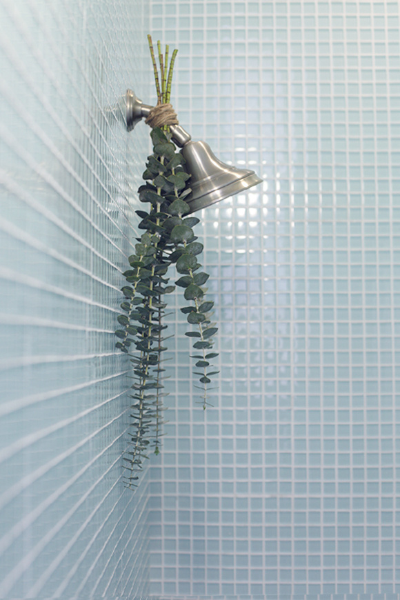 tumblr_mm80tkR9Go1r7wajzo1_1280 #plant #shower