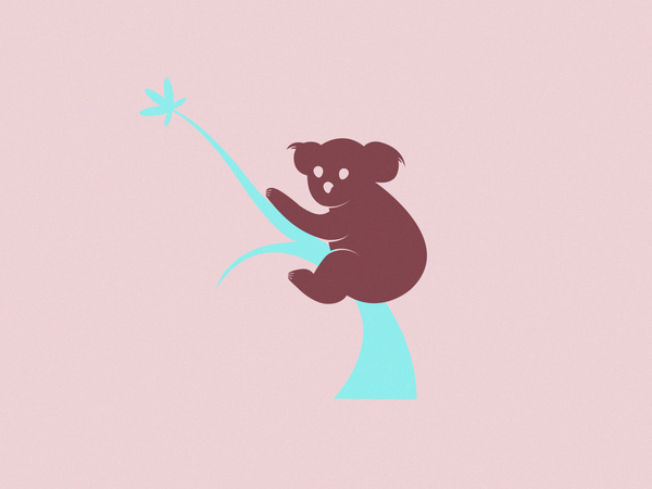 Animal doodling on Behance #colourful #koala #yildirim #yasemin #illustration #graphics