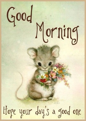 - Good Morning