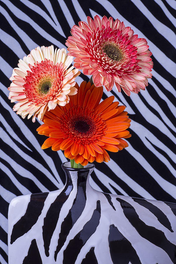 daisy painting & daisy paint by number #painting