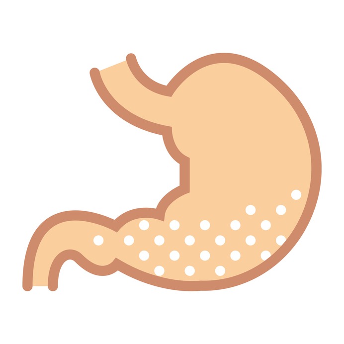 See more icon inspiration related to stomach, acid, organ, medical, body parts and anatomy on Flaticon.