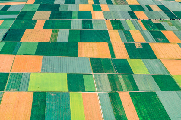 Klaus Leidorf | PICDIT