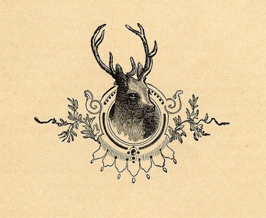framed deer head #design #graphic