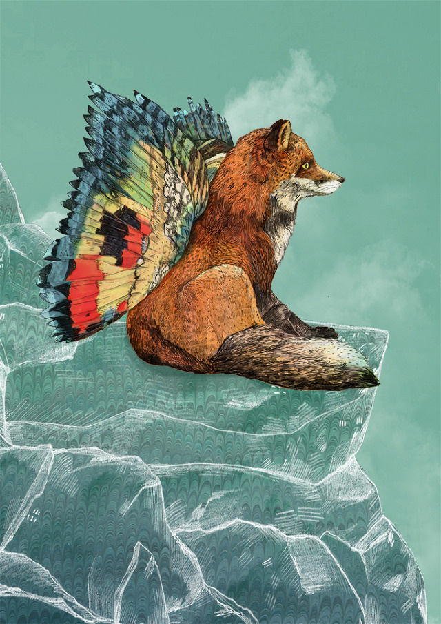 Sandra Dieckmann #illustration #fox #animals