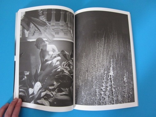 Hunter And Cook — Issue 10 « PICDIT #magazine #photography #printed #art